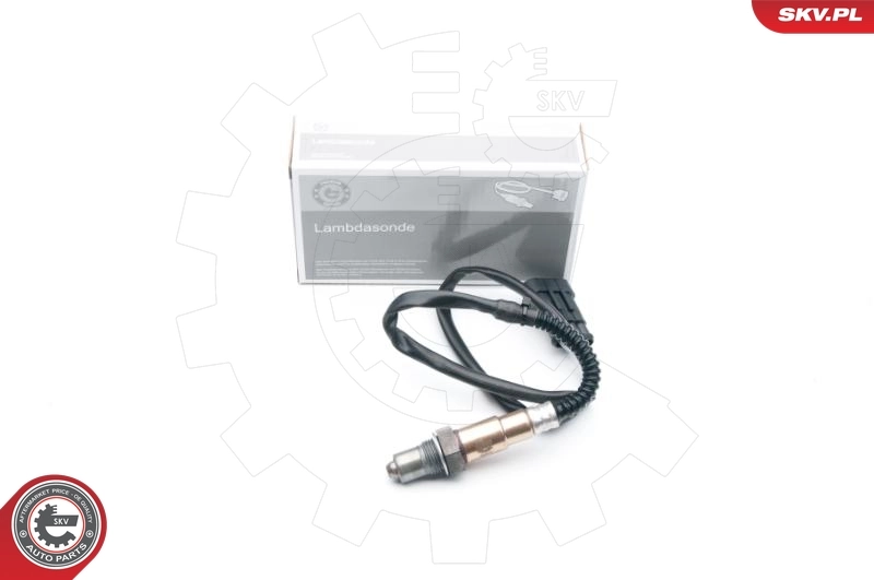 Oxygen Sensor